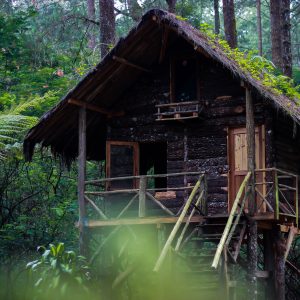 Jungle Panorama Cabana